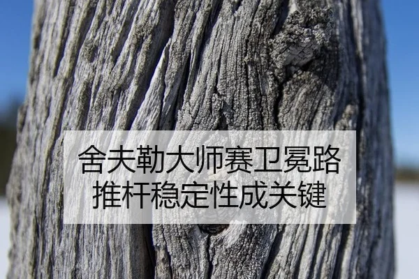 舍夫勒大师赛卫冕路 推杆稳定性成关键