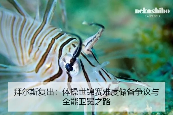 bai-er-si-fu-chu-ti-cao-shi-jin-sai-nan-du-chu-bei-zheng-yi-yu-quan-neng-wei-mian-zhi-lu-3-609.jpg